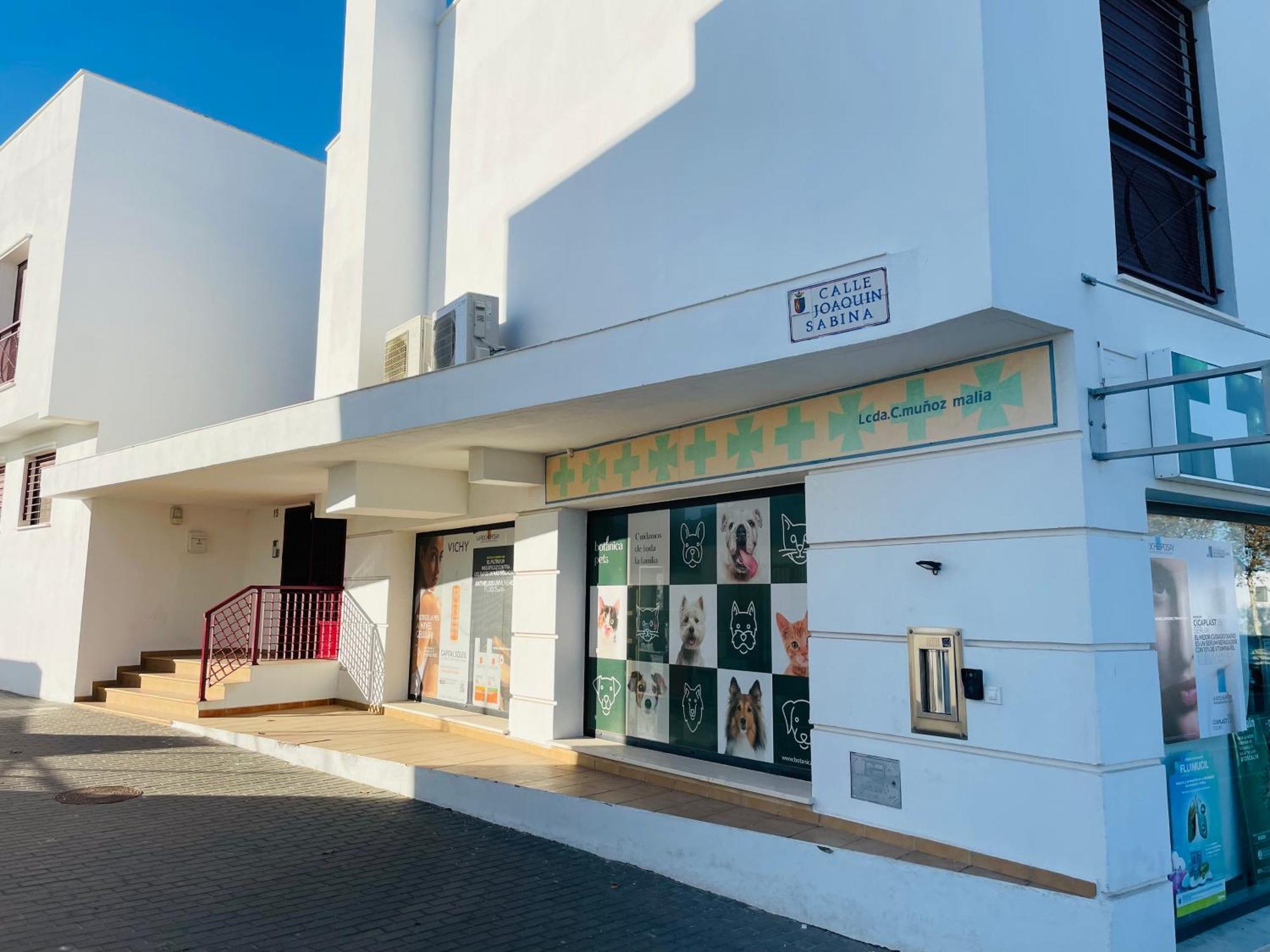 Atico Premium Conil Con 2 Terrazas, Parking, Piscina, Aire Ac Y Wifi -Solo Familias Y Parejas- Apartment Conil De La Frontera Exterior photo